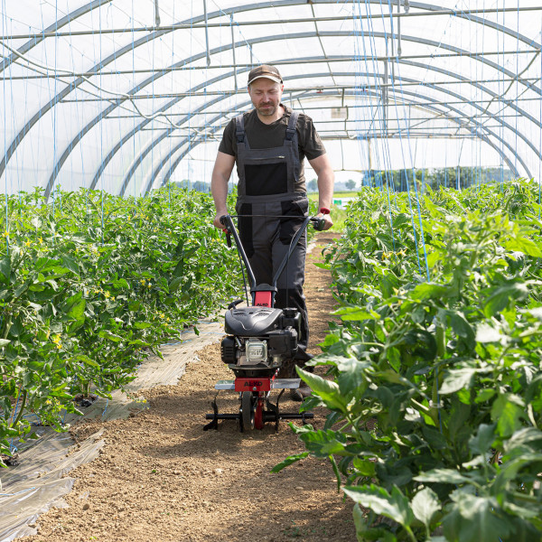 https://www.greenland.rs/images/products/big/3039.jpg